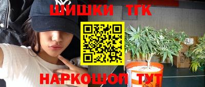 шишки Будённовск