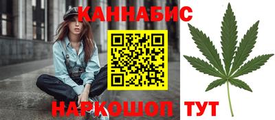 шишки Будённовск