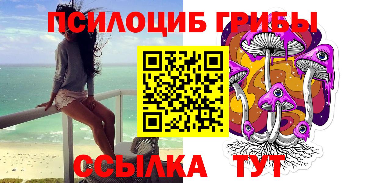 Протвино  Псилоцибиновые грибы Cubensis  Вход с VPN 